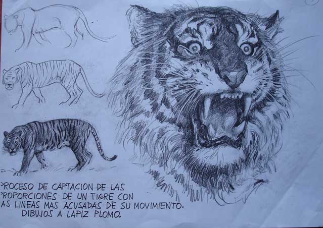 EL RINCON DEL TARADETE: Antonio Bernal Romero: animales tigres y ...