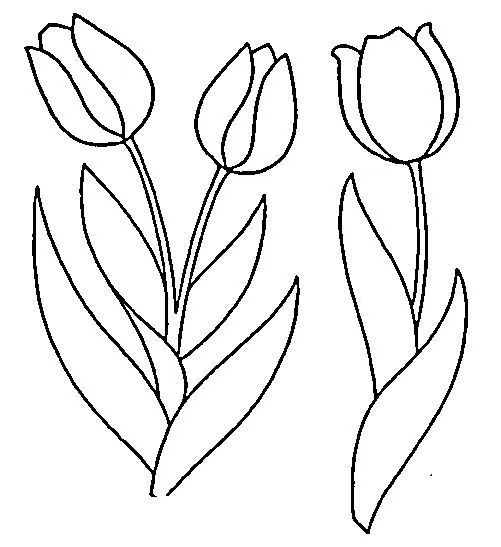 De tulipanes para colorear - Imagui
