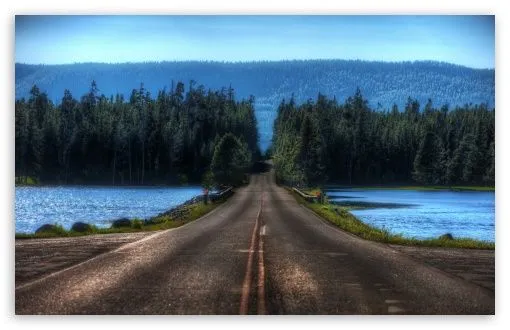 Road In Yellowstone, Montana HD desktop wallpaper : High ...