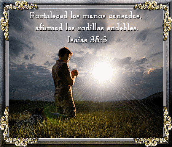 EN TUS RODILLAS ...FELIZ DIA PARA TODOS DIOS LOS BENDIGA ... EN TUS RODILLAS ...FELIZ DIA PARA TODOS DIOS LOS BENDIGA ...