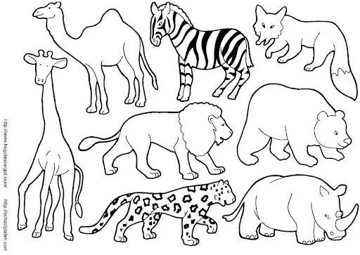 5 animales salvajes para imprimir - Imagui