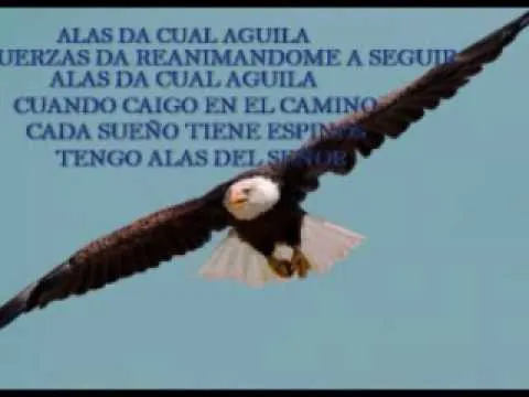 RONDALLA CRISTIANA LAS AMERICAS Alas de Aguila - YouTube