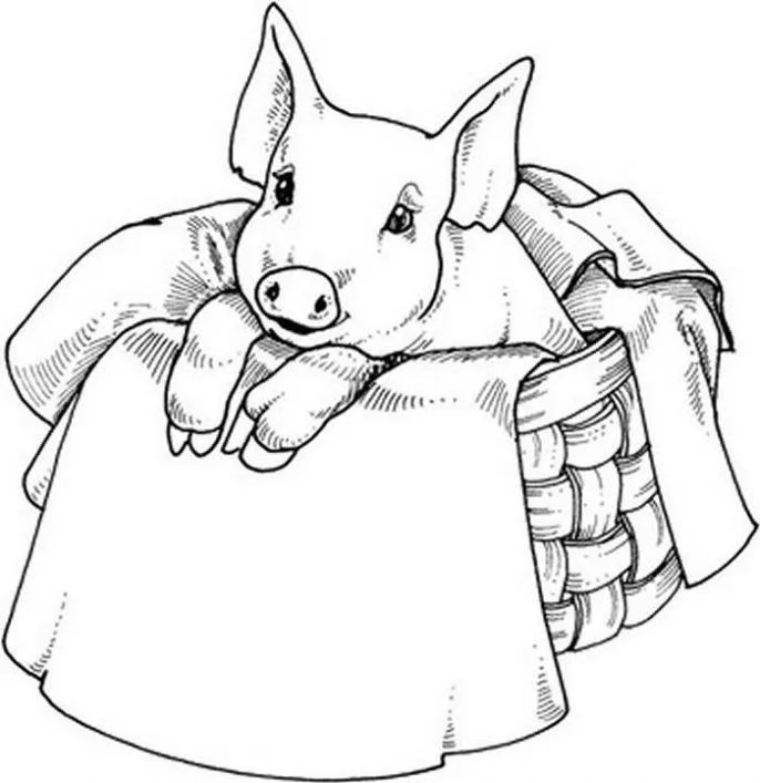 Dibujo de Cerdo en el cesto de la ropa para colorear. Dibujos ...