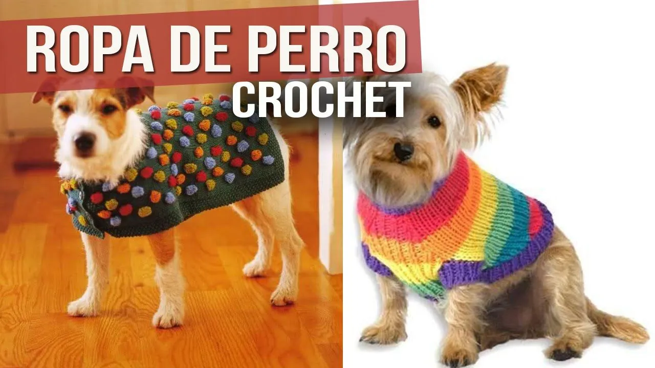 Ropa Para Perro Tejida a Crochet ( ideas y Diseños ) - YouTube