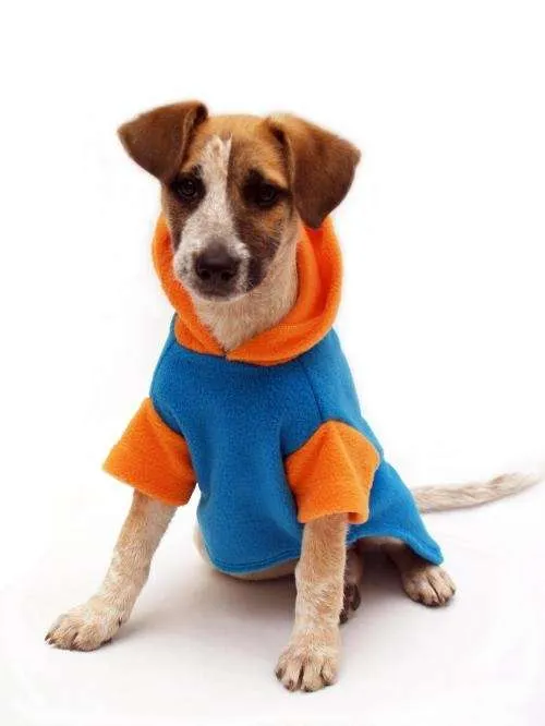 Ropa para perros du petit moda para mascotas - Lima, Perú ...