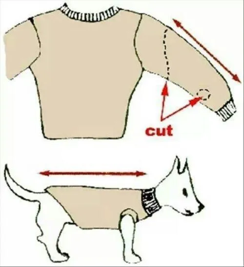 como hacer ropa para perros | facilisimo.com
