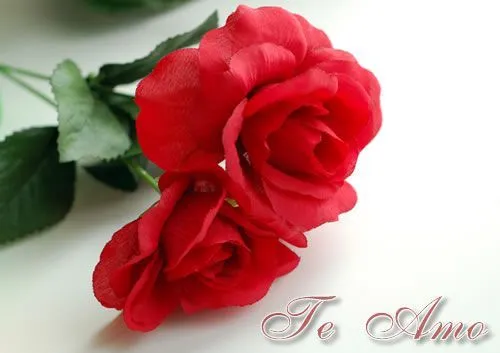 Imagenes de te amo con una rosa - Imagui