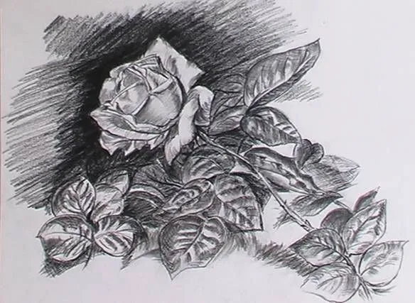 Imajes de una rosa dibujada con lapiz - Imagui