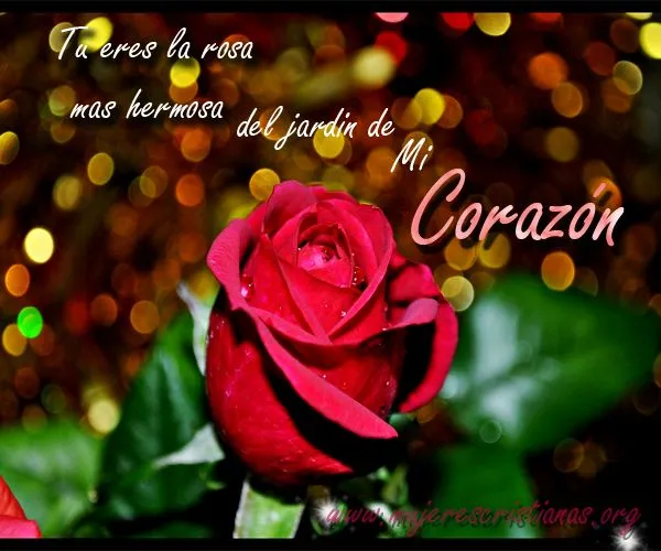 Eres la rosa mas hermosa del jardín de mi corazón | Mujeres ...