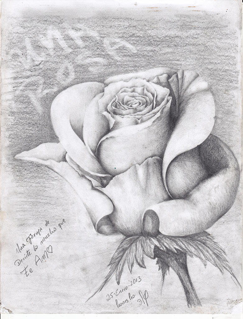 De rosas para dibujar a lapiz - Imagui