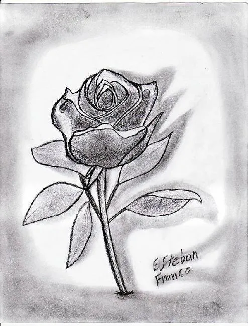 Rosa negra dibujo - Imagui