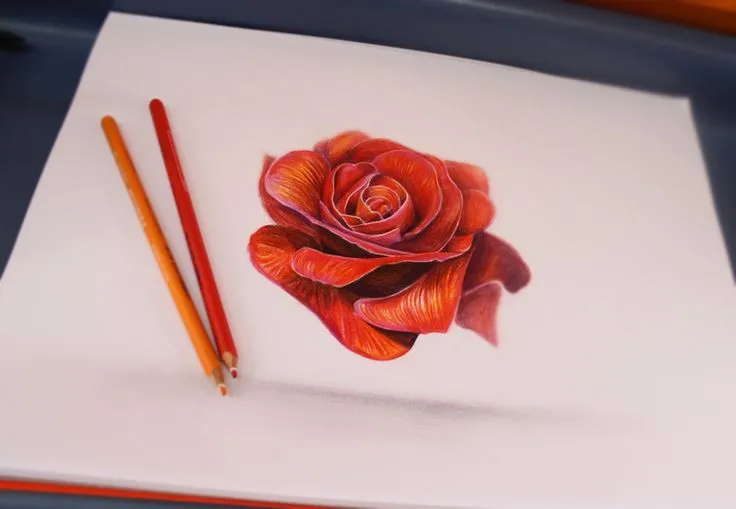 Rosa Realista, dibujada con lápices de colores. | Rosas | Pinterest
