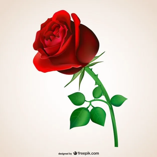 rosa roja | Descargar Fotos gratis