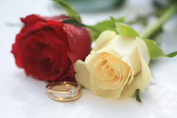 Rosa roja, rosa blanca y un conjunto de la boda — Foto stock ...