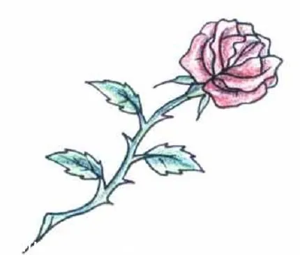 Rosas con espinas a lapiz - Imagui