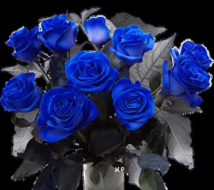 Rosas azules | Rosas Azules | Pinterest