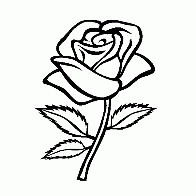 Dibujos para pintar rosas - Imagui