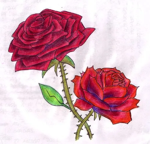 Imagen de rosas de caricaturas - Imagui