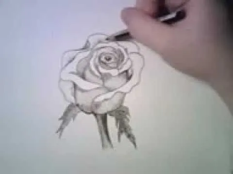 Dibujos de rosas 3D para dibujar - Imagui