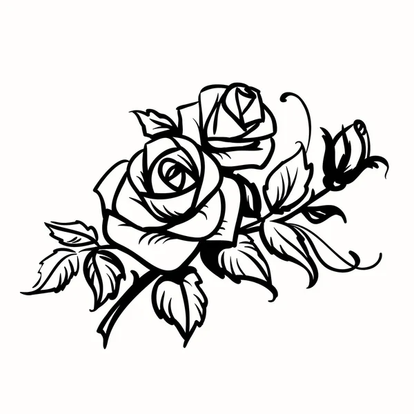 Rosas. croquis negro sobre fondo blanco — Vector stock © prezent ...
