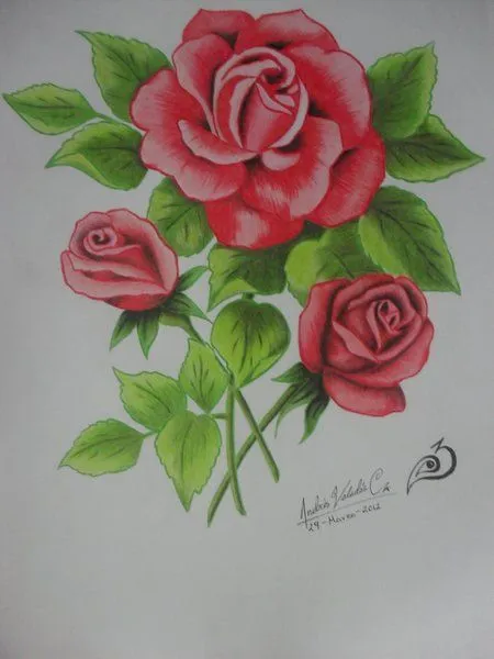 Rosas dibujos colores - Imagui