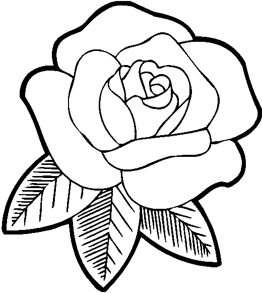 Rosas grandes para dibujar - Imagui