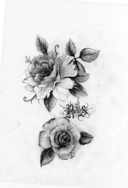 Dibujo de rosas con lápiz - Imagui