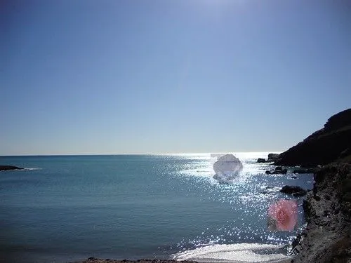 Rosas en el mar | Flickr - Photo Sharing!