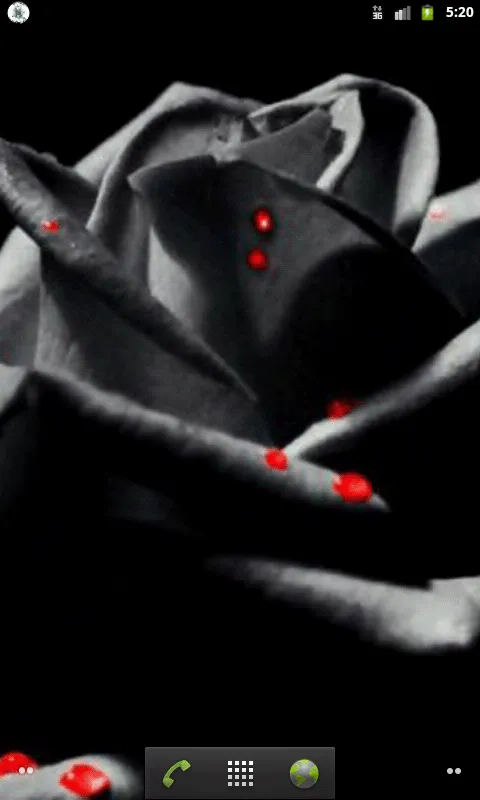Rosas Negras - Aplicaciones Android en Google Play