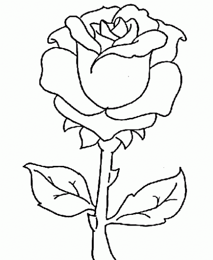 Dibujo una rosa para colorear - Imagui