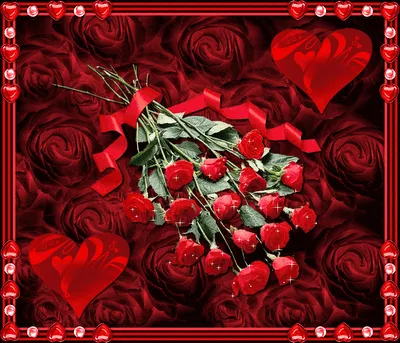 Rosas Rojas de amor | Cientos de Imagenes