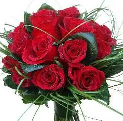 Rosas rojas de amor para enamorados