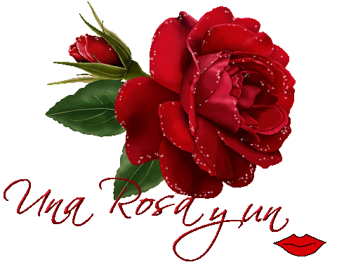 Rosas rojas animadas gifs con brillo y movimiento - Imagui