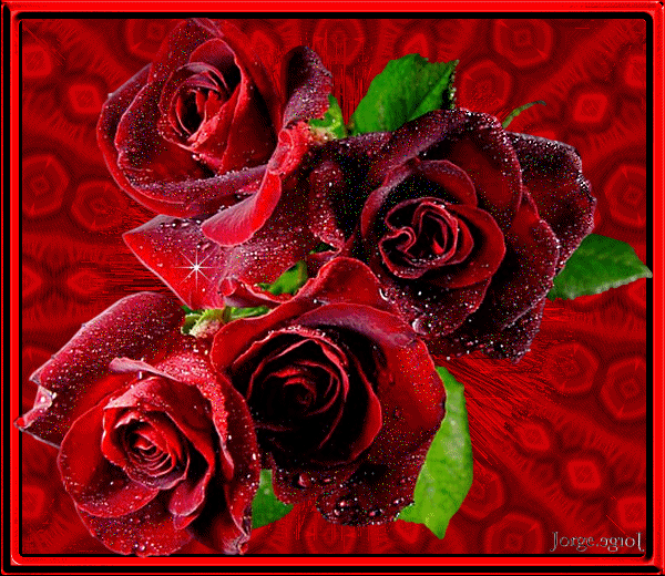 Rosas rojas animadas movimiento - Imagui