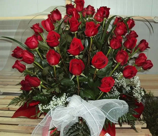 Rosas rojas para ti | Flickr - Photo Sharing! Rosas rojas para ti | Flickr - Photo Sharing!