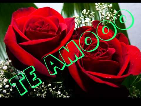 rosas rojas ♥♥ (industria del amor) ☆ - YouTube