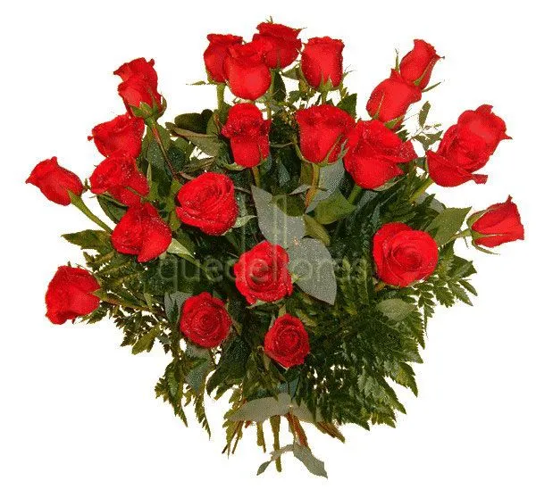 24-rosas-rojas-tl.jpg