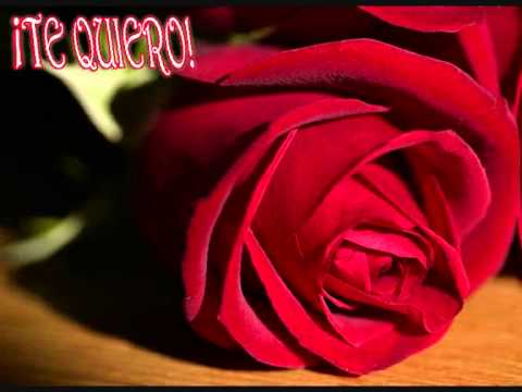 Rosas rojas para ti mi vida !!!!!.wmv - YouTube