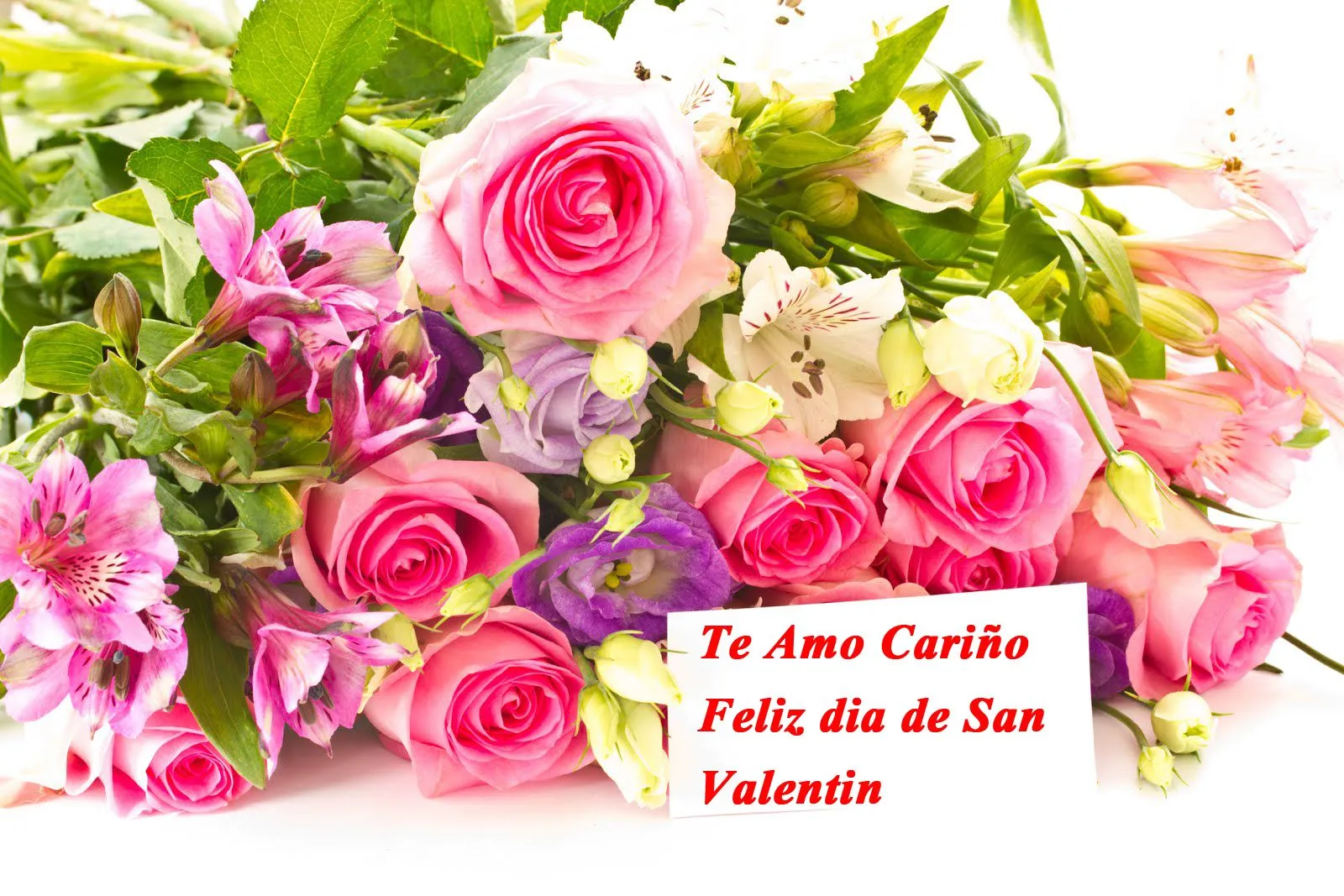 Rosas rosadas Virtuales para Regalar en el Dia de San Valentin ...