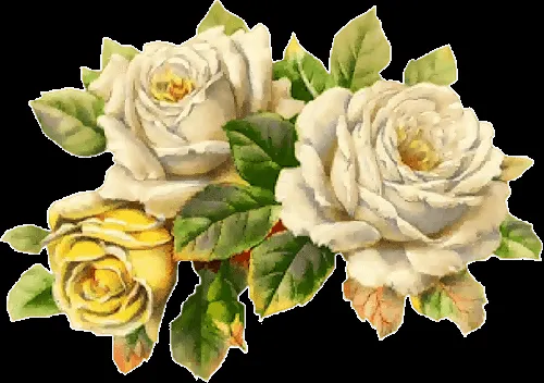 kismetetc — Fotos De Flores Y Rosas