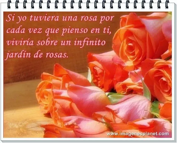 rosas+y+flores+romanticas+de+ ...