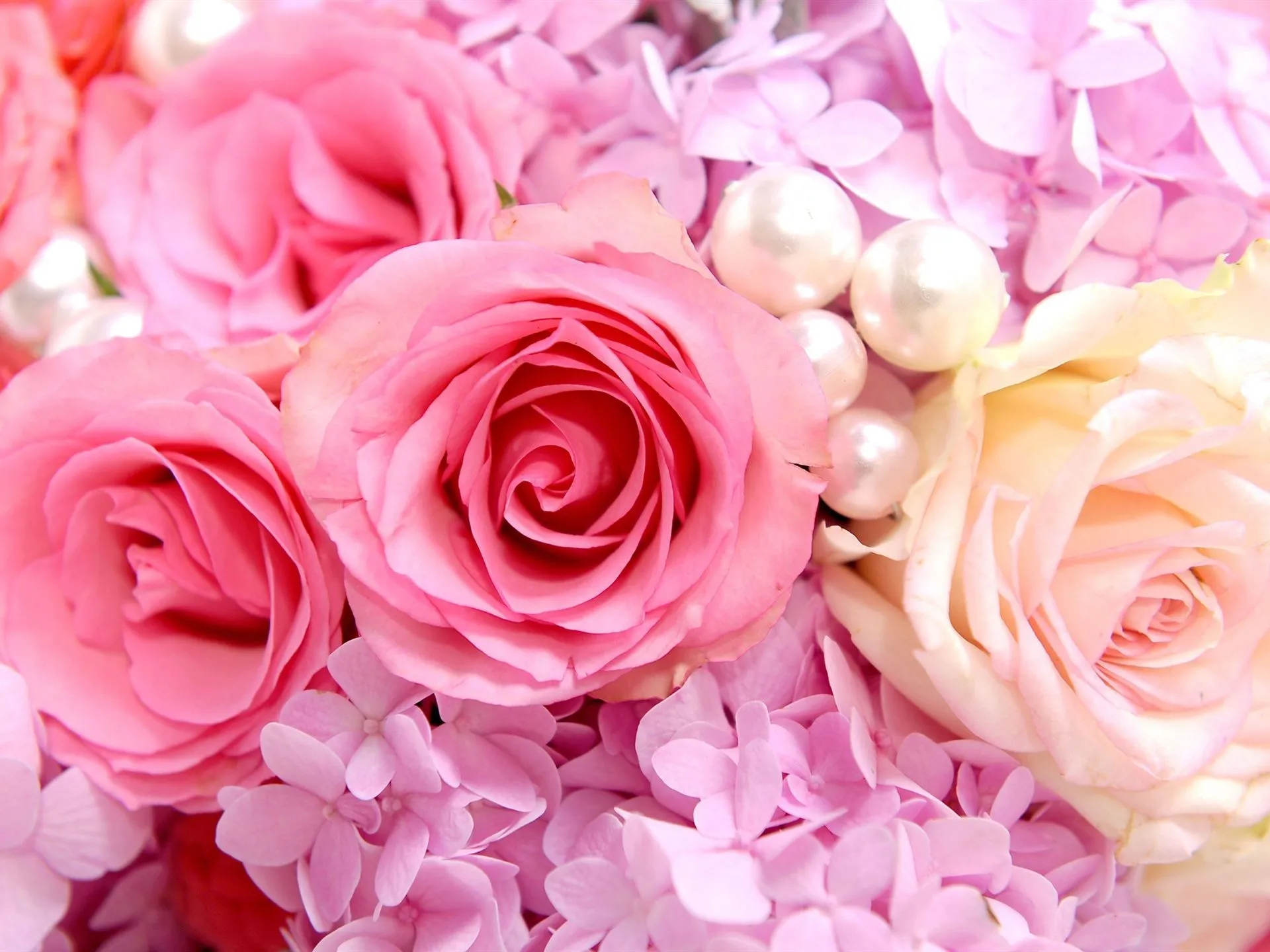 Rose Background Tumblr wallpaper, wallpaper hd, background desktop ... Rose Background Tumblr wallpaper, wallpaper hd, background desktop ...
