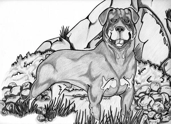 Rottweiler axel - Imágenes de Otros en Historieta y Viñeta | Dibujando Rottweiler axel - Imágenes de Otros en Historieta y Viñeta | Dibujando