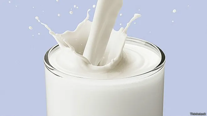 5 cosas que quizá no sabías de la leche - BBC Mundo