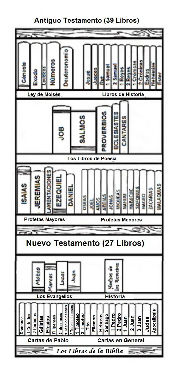 sabias.orden-de-los-libros-de-la-biblia | El Evangelista Mexicano