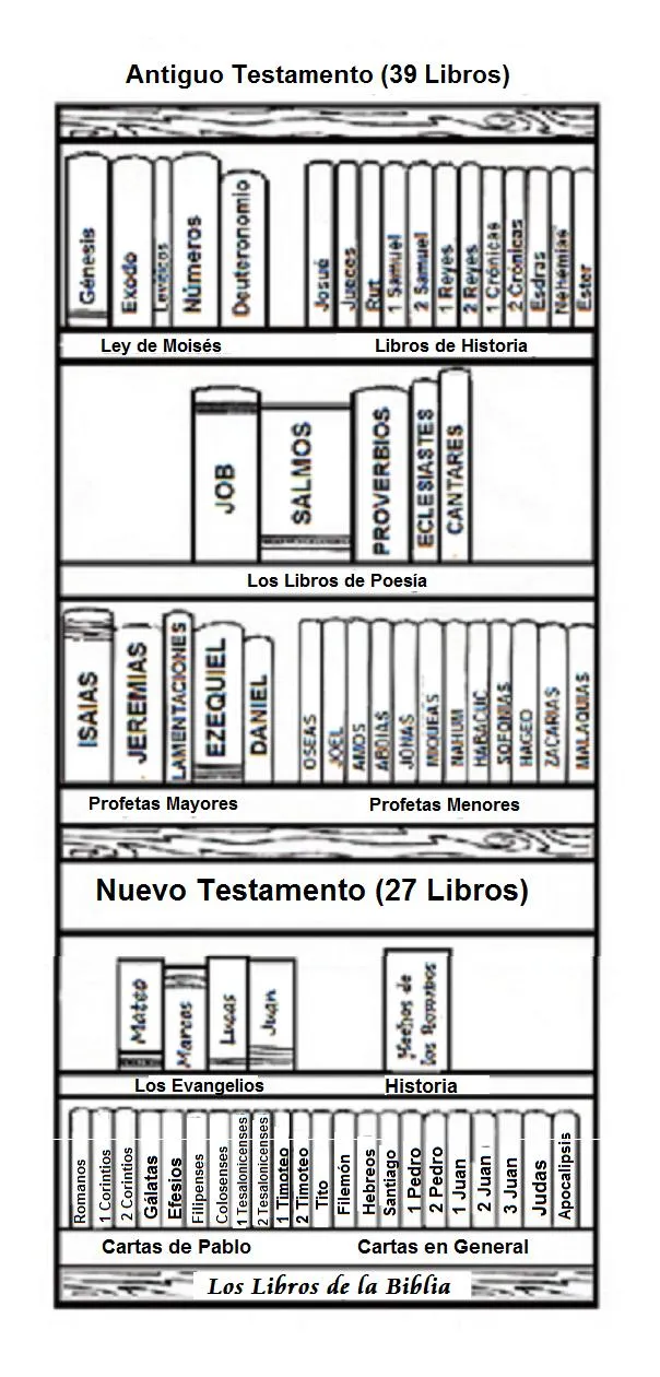sabias.orden-de-los-libros-de-la-biblia | El Evangelista Mexicano sabias.orden-de-los-libros-de-la-biblia | El Evangelista Mexicano