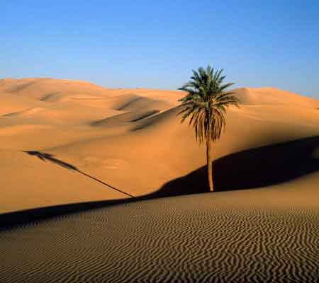 El Sáhara | Travelguía Egipto