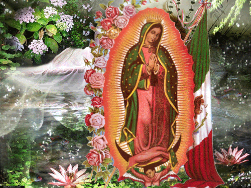 Saints, Holy Family & More25 Gif on Pinterest | Glitter Graphics ...