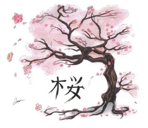 Sakura on Pinterest | Dibujo, Google and Search