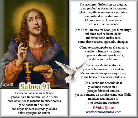 Salmo 90 catolico - Imagui